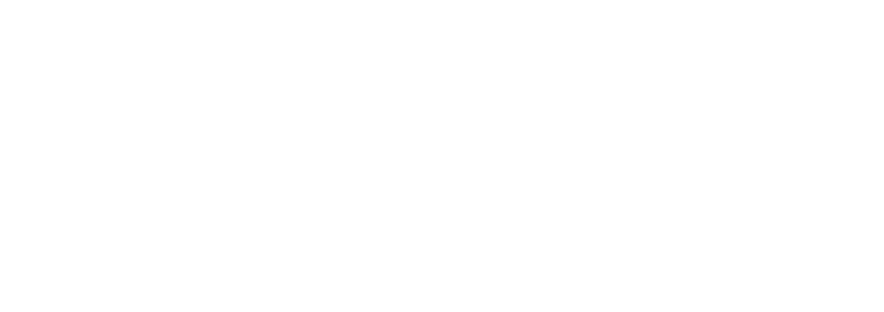 Driven Consultants logo